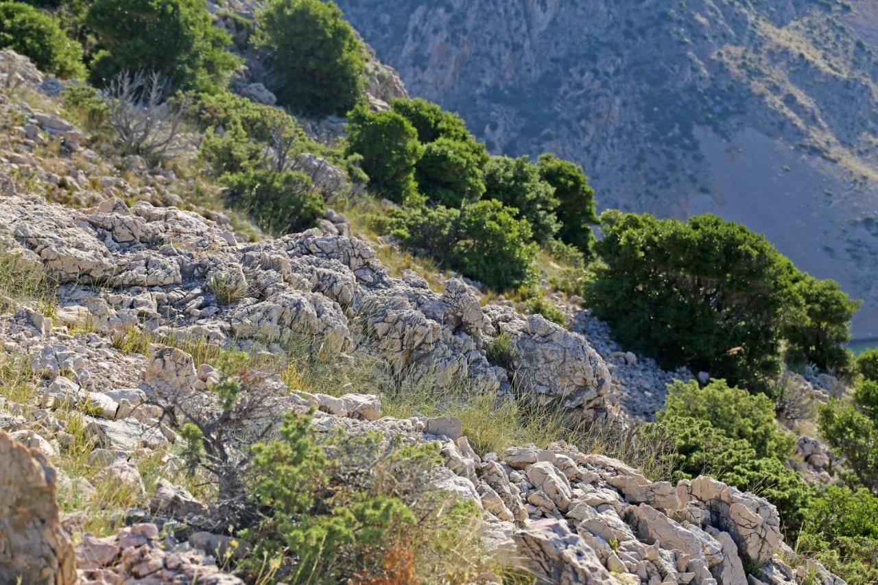Apartments Mira Gornji Karin Εξωτερικό φωτογραφία