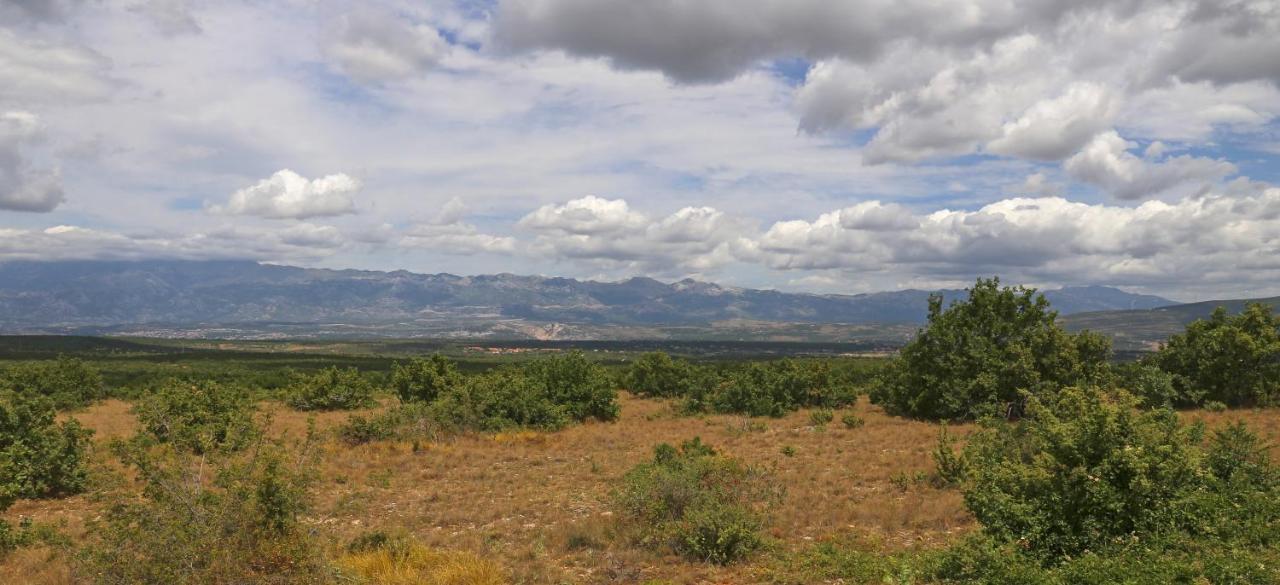 Apartments Mira Gornji Karin Εξωτερικό φωτογραφία