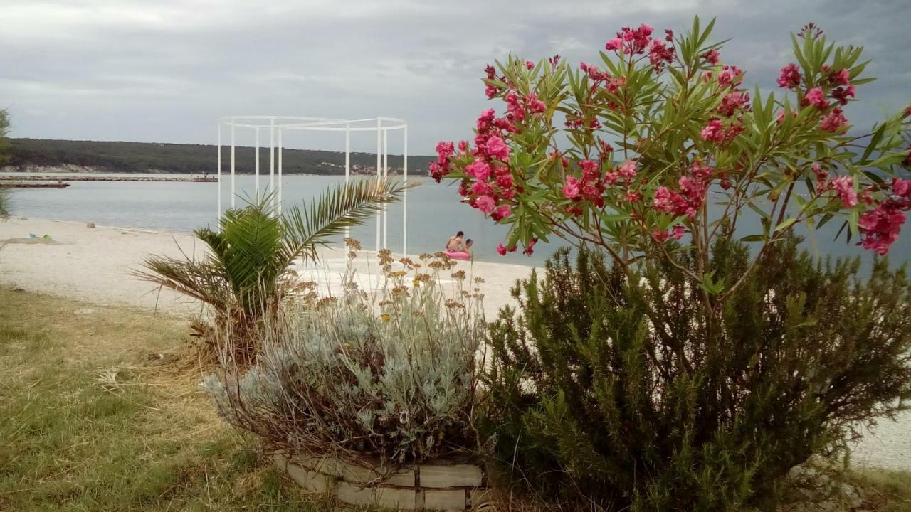 Apartments Mira Gornji Karin Εξωτερικό φωτογραφία